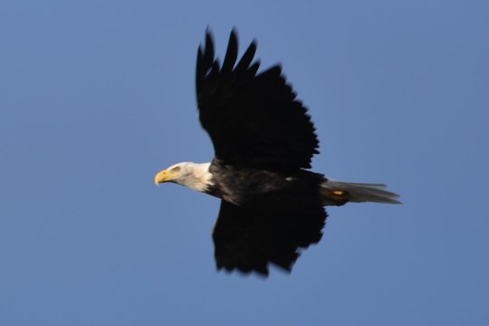 Tour image 3