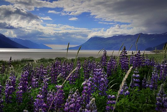 Tour image 11