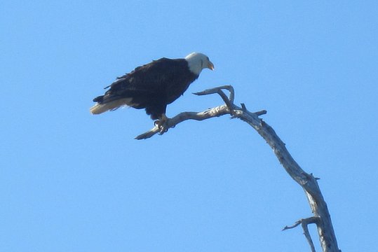 Tour image 7