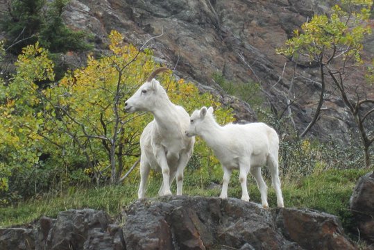 Tour image 6