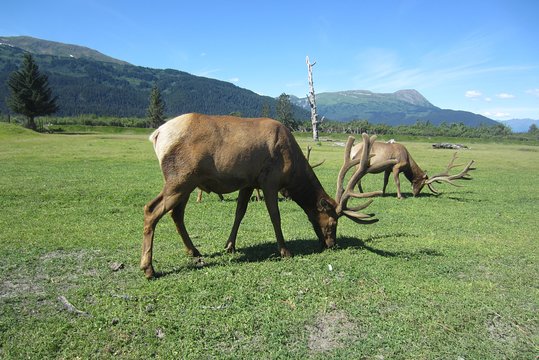 Tour image 8