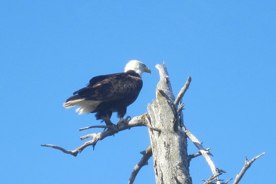Tour image 11
