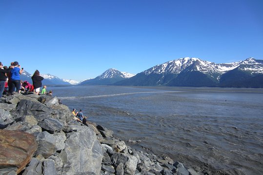 Tour image 12