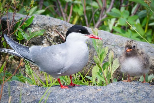 Tour image 6