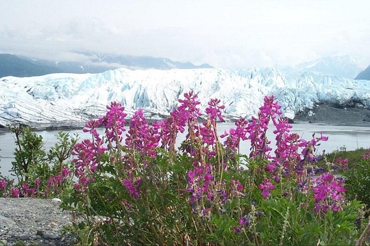 Tour image 5