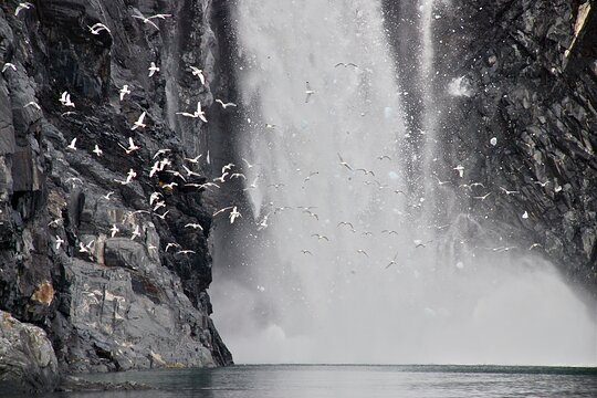 Tour image 6