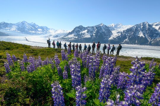 Tour image 1