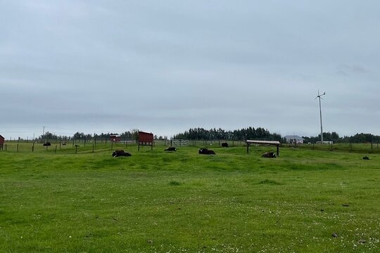 Tour image 6