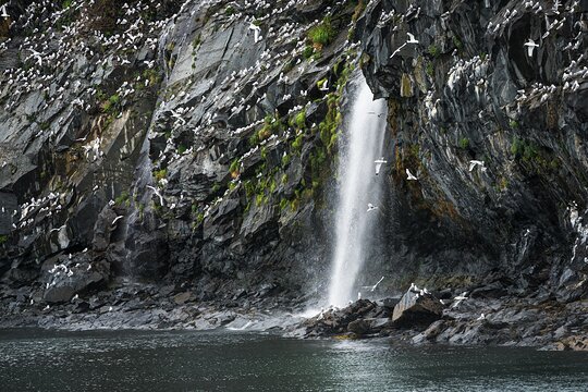 Tour image 5