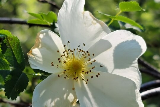 Tour image 11
