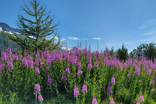 Tour image 11
