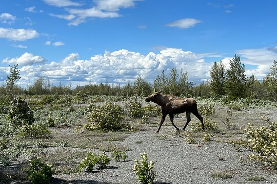 Tour image 10