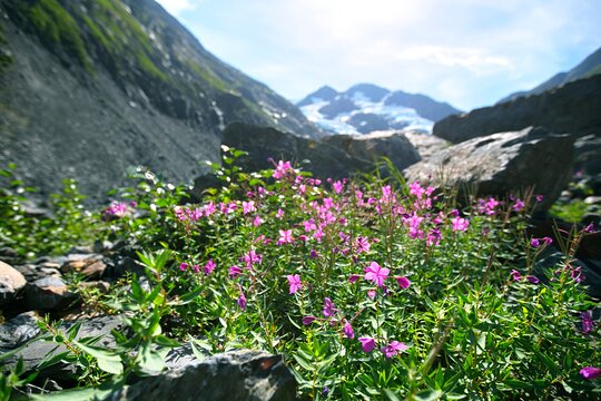 Tour image 11