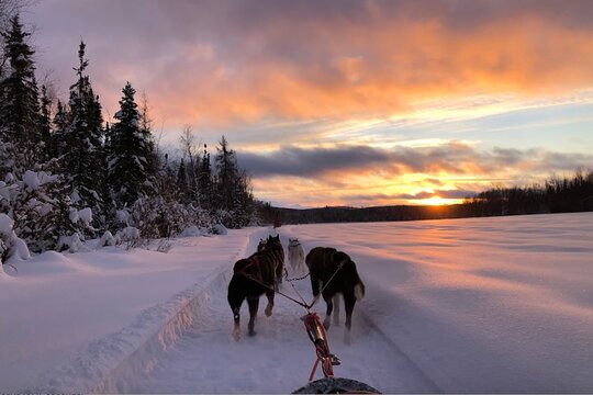 Tour image 3