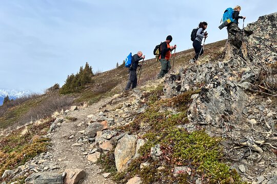 Tour image 8